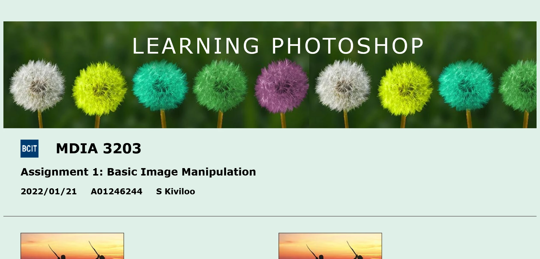 photoshop assignment page